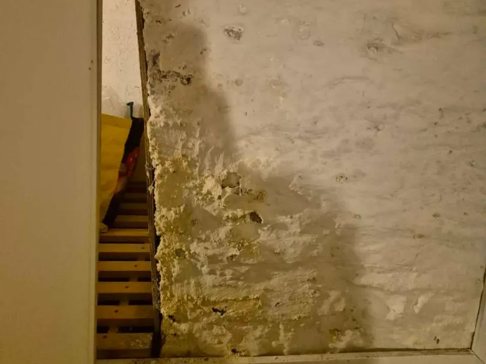 Damp staining and efflorescence on basement wall before leak detection works